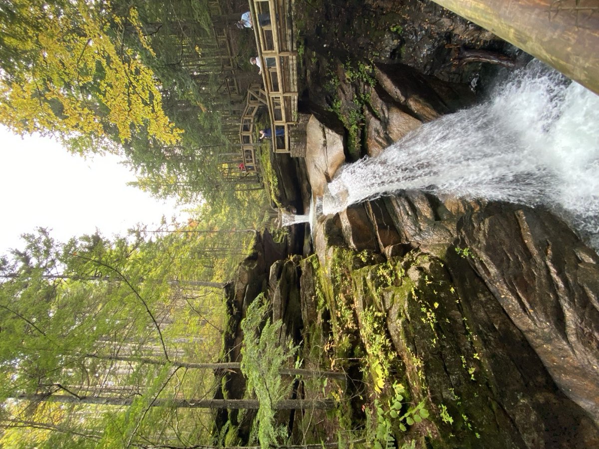A waterfall rushing over mossy rock beside a wooden boardwalk under autumn trees